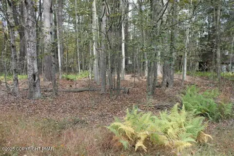 Wooded Lot in Arrowhead Lakes
