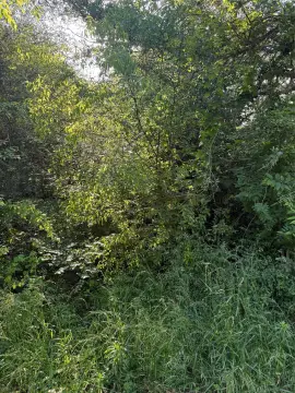 Residential Vacant Land Lot