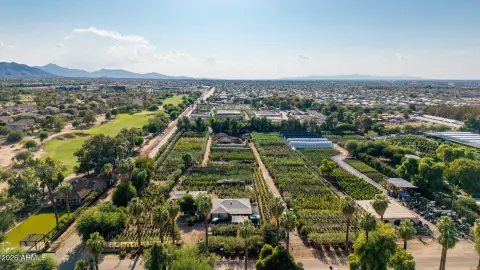 Prime Phoenix Acres Near Airport