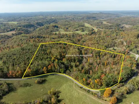 Wooded Hunting Land