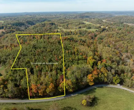 Wooded Hunting Land