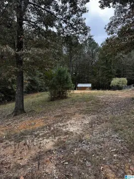 Half-Acre Lot with Utilities
