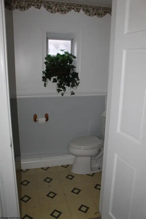Picture 7