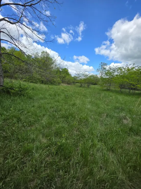Picture 17