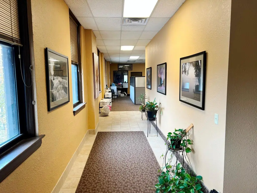 Picture 6
