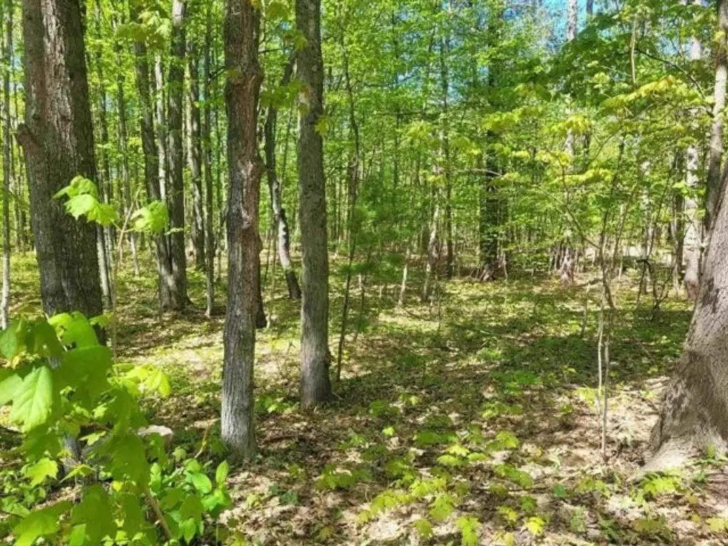 Picture 9