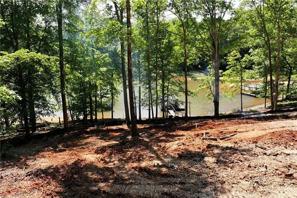 Picture 4