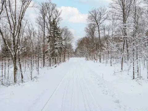 Golden Lake Vacant Land