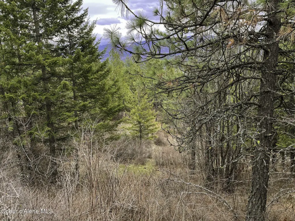 Picture 26