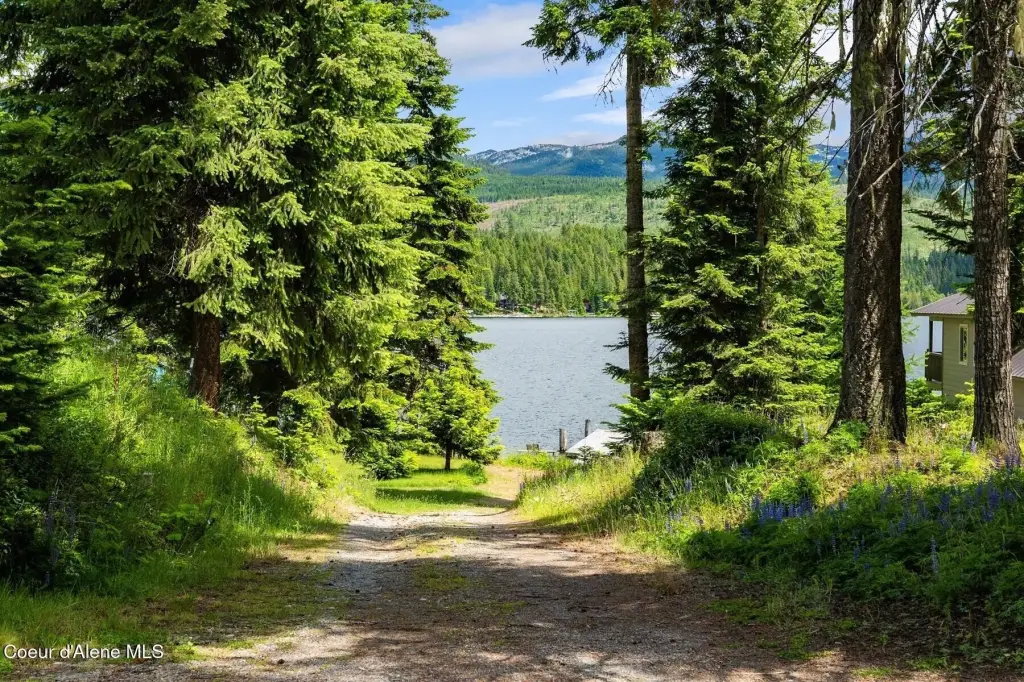 Picture 20