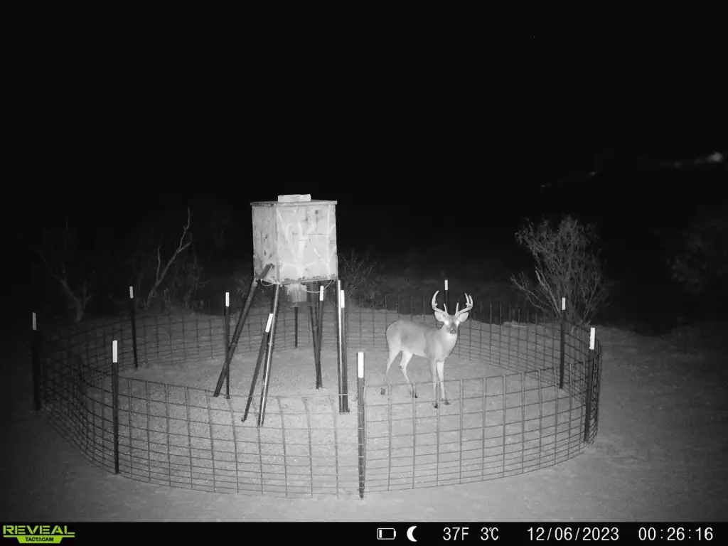 Picture 14