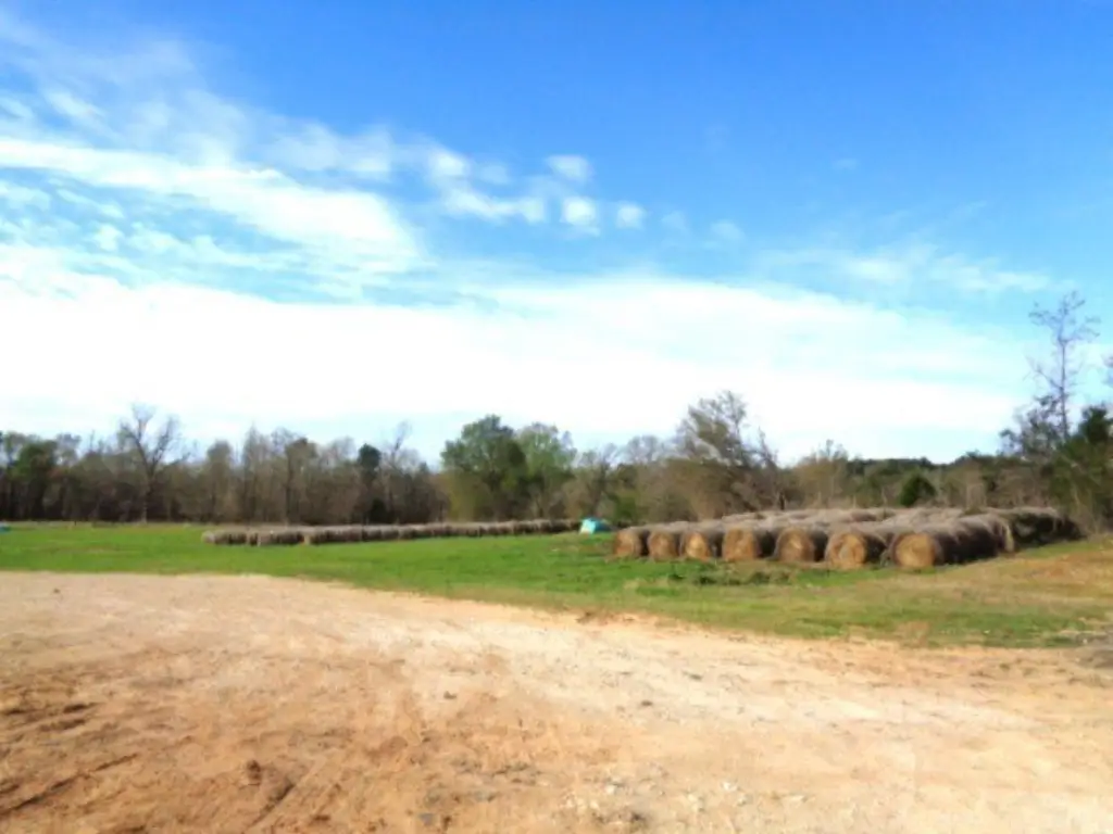 Picture 9