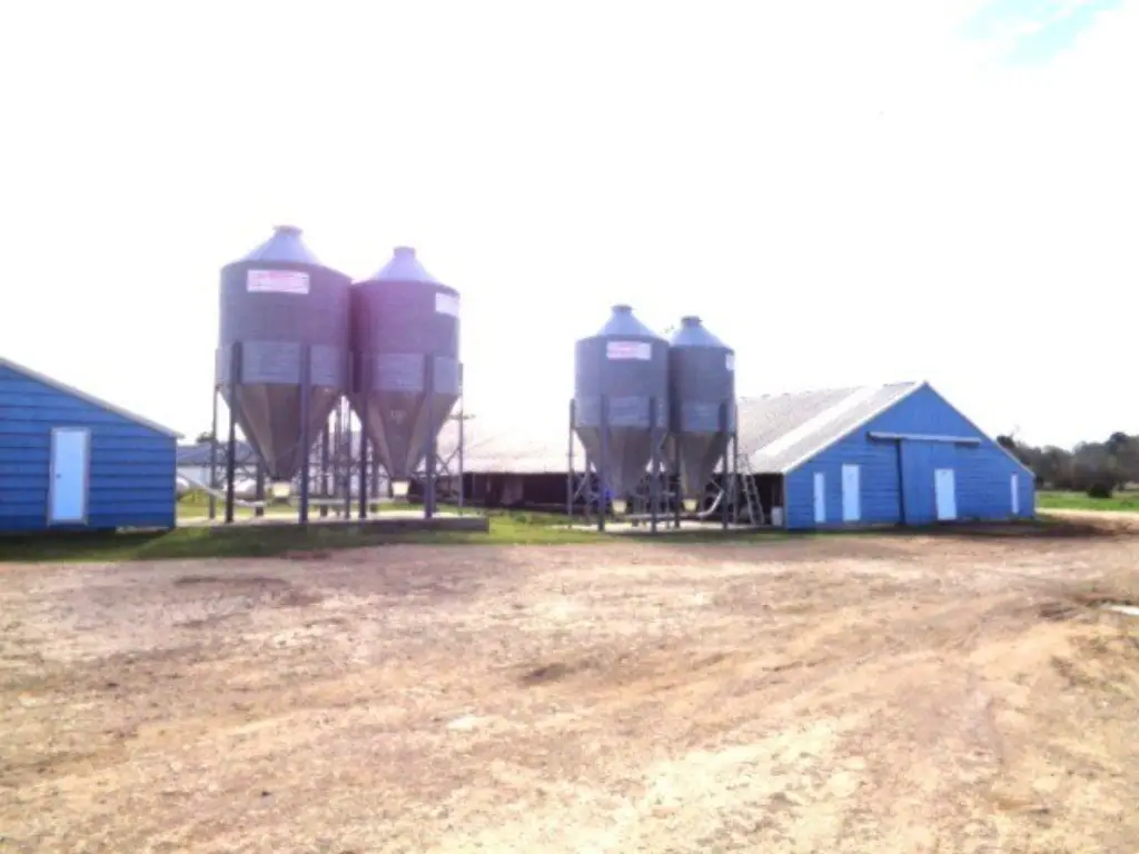 Picture 6