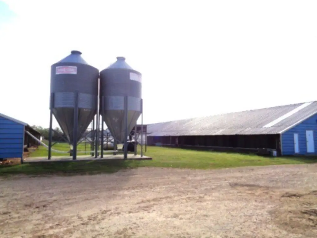 Picture 4