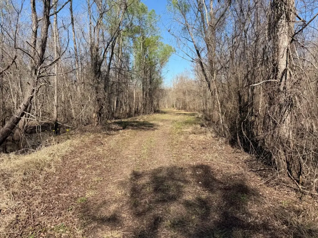 Picture 21