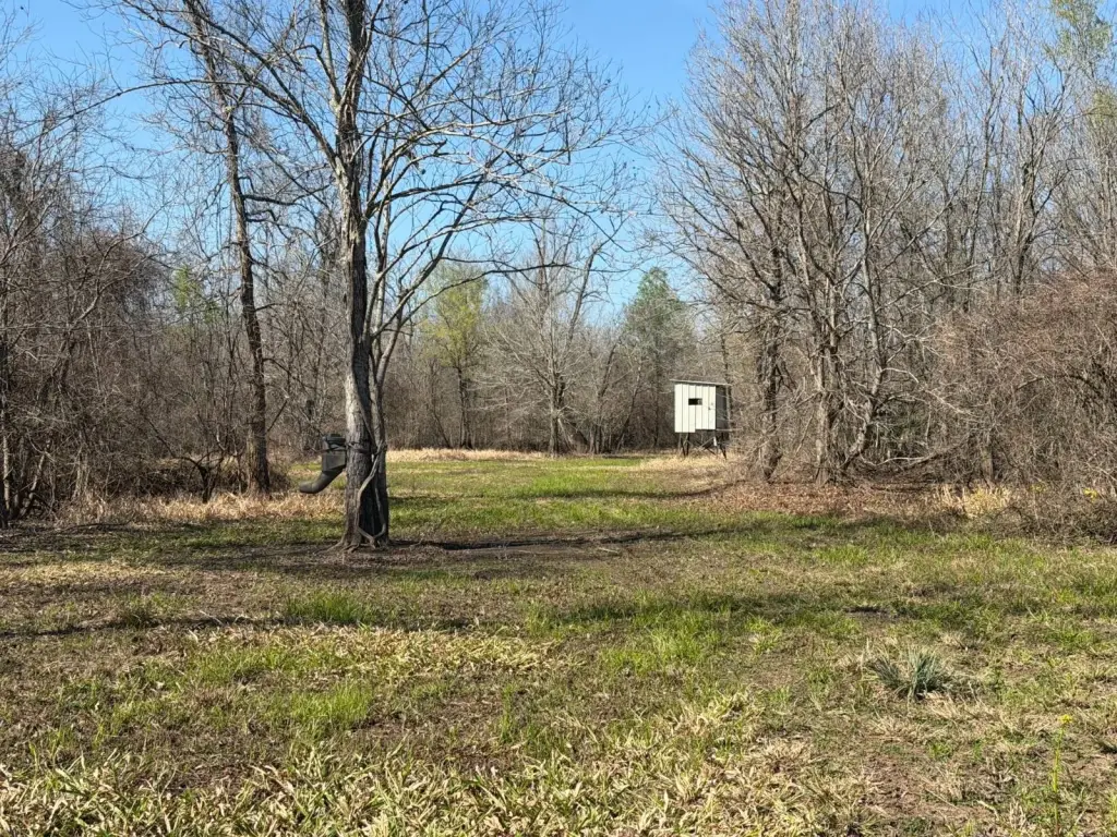 Picture 14