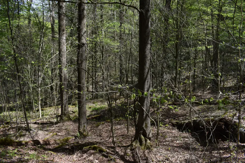 Picture 2