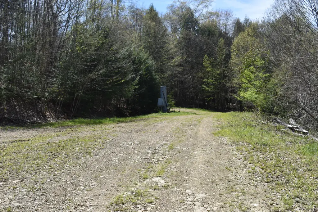 Picture 13