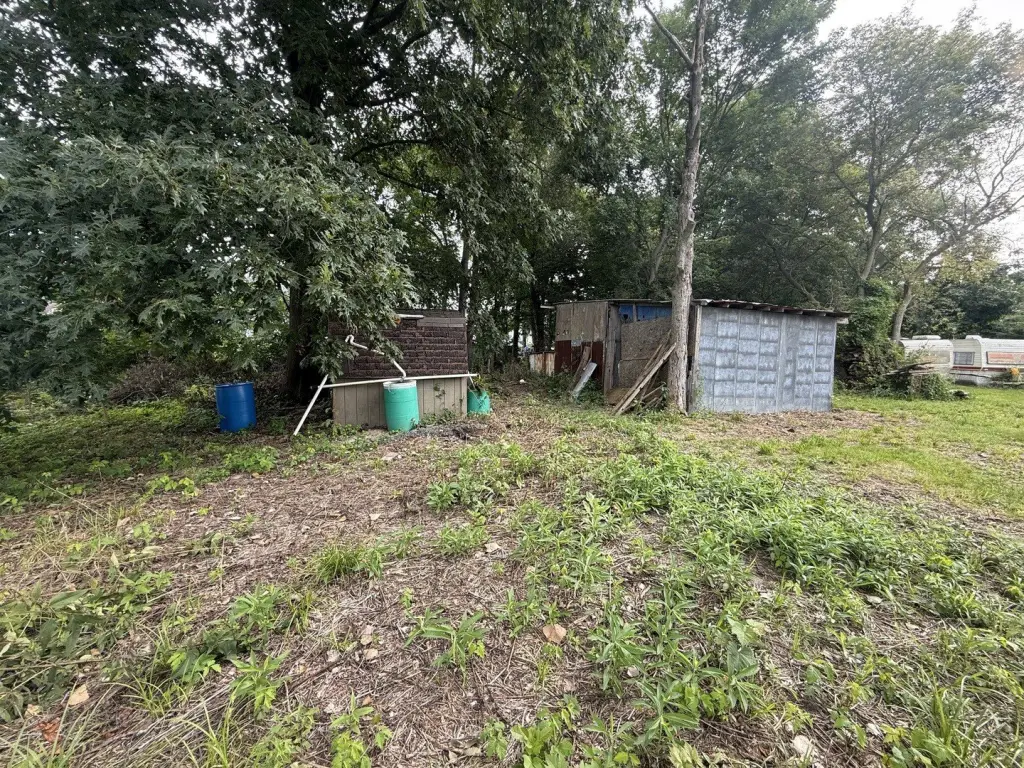 Picture 6