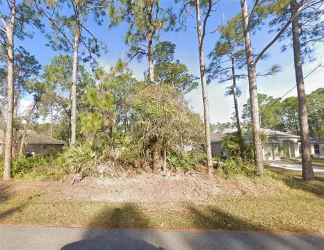 Palm Coast Homesite Opportunity
