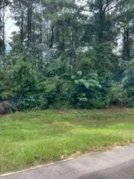 Residential Lot Near Lake Blackshear