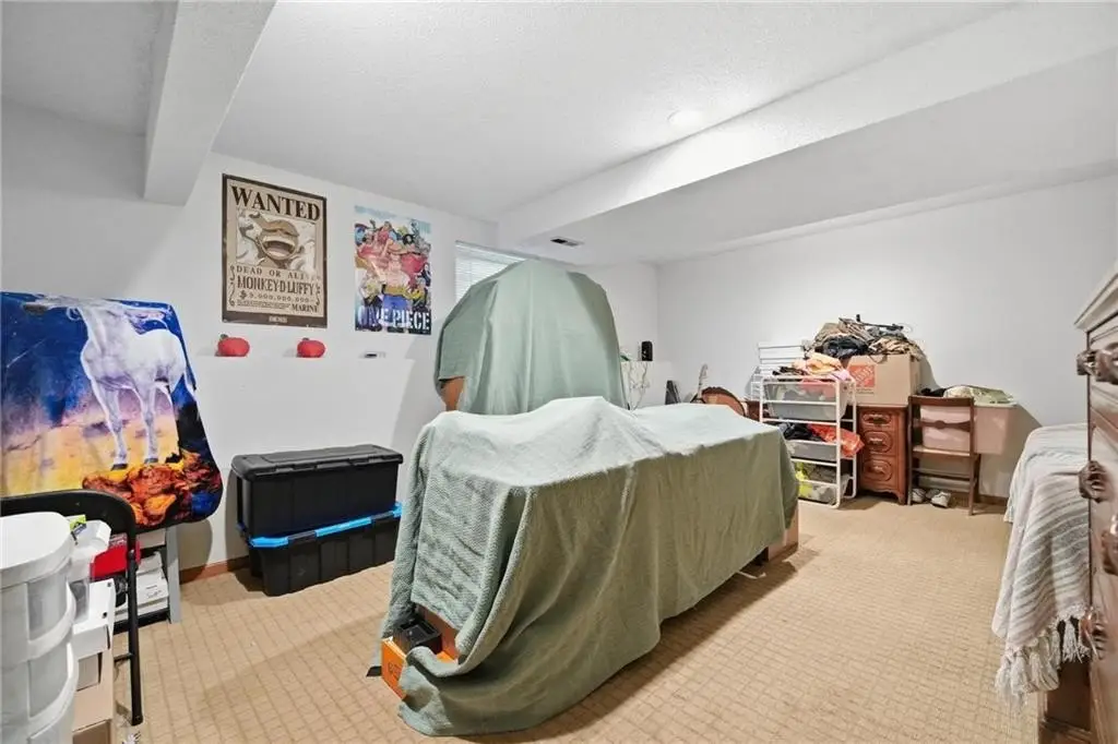 Picture 19