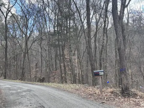 Unrestricted Wooded Lot in Decatur