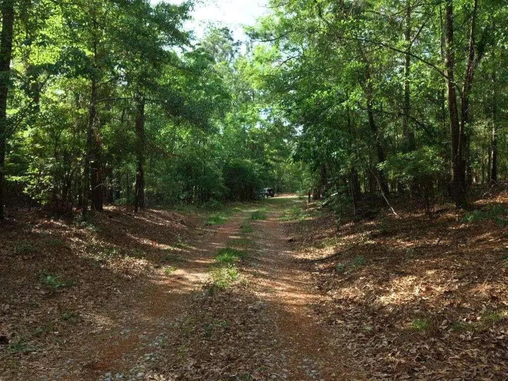 Picture 16