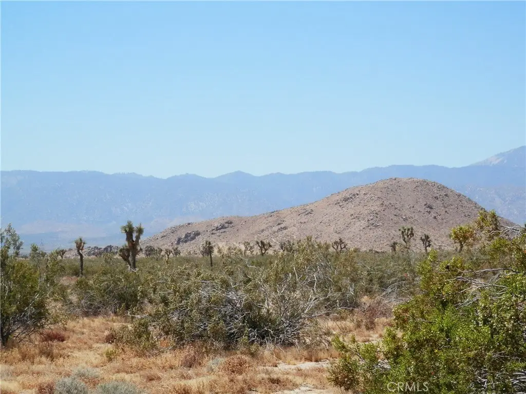 Picture 10