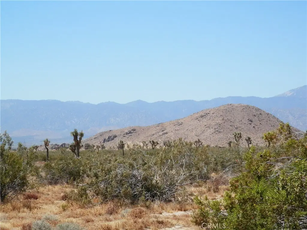 Picture 3