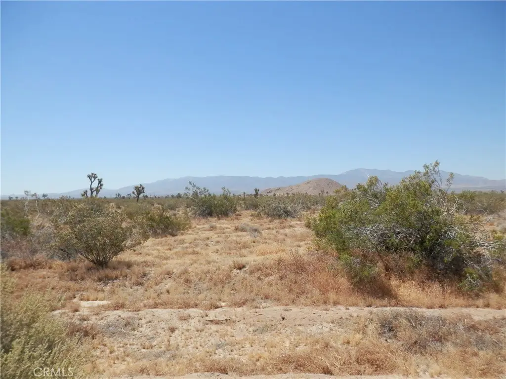 Picture 9