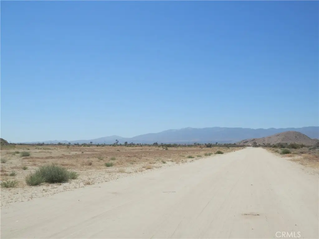 Picture 6