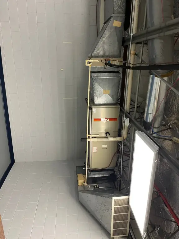 Picture 18