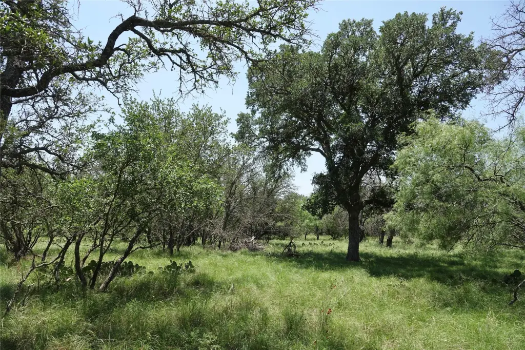 Picture 23