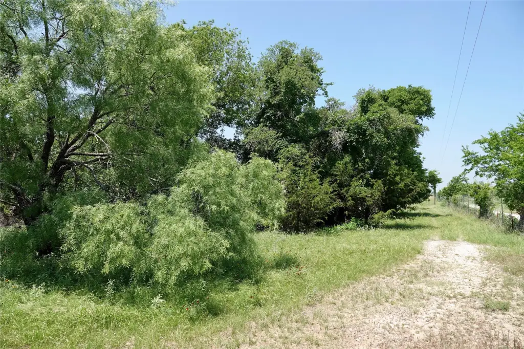 Picture 26