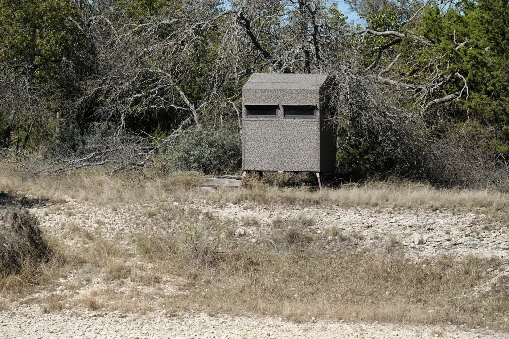 Picture 16