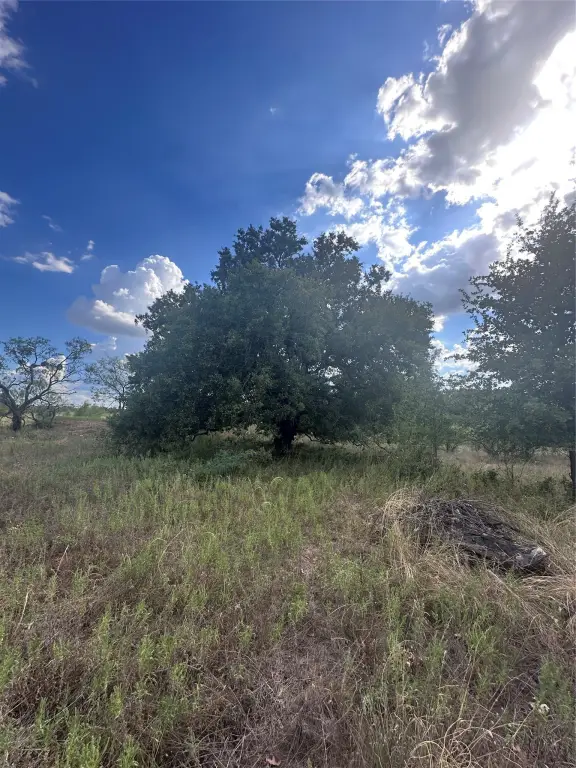 Picture 29