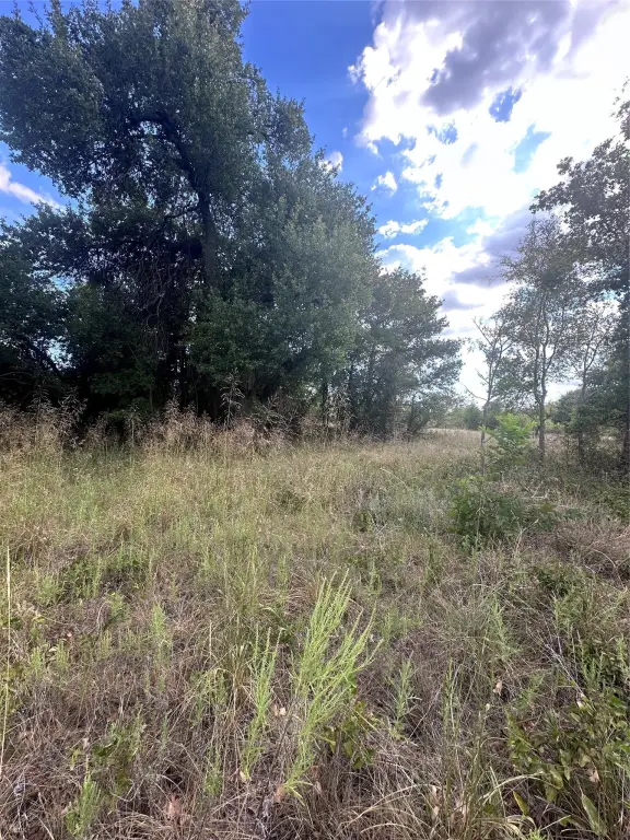 Picture 30