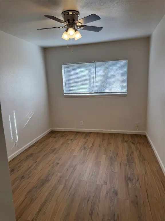 Picture 14