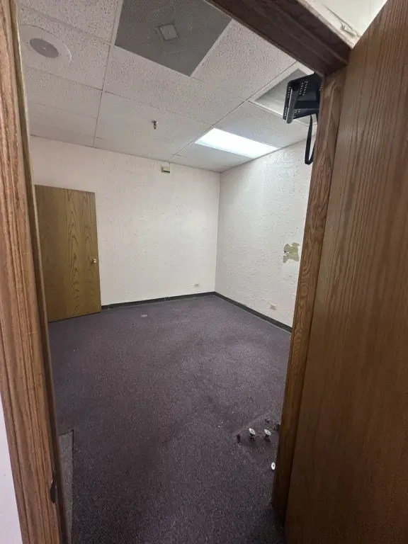 Picture 12