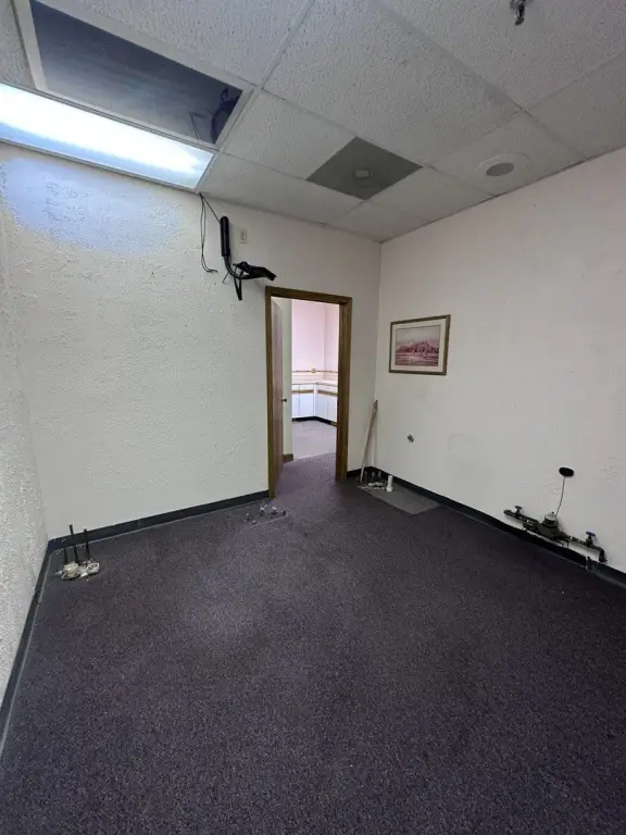 Picture 13