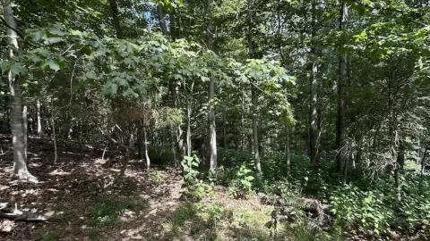 Blacksburg Buildable Lot with Views