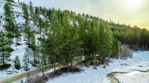 30 Acres Timbered Land, Views