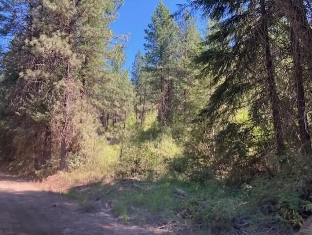 Picture 15