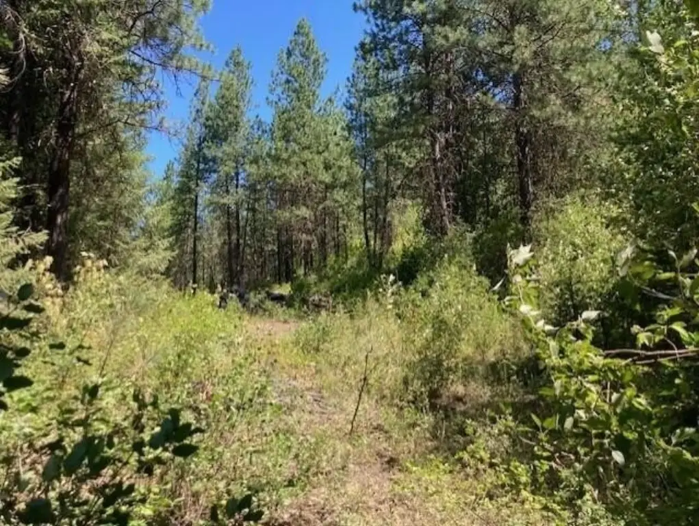 Picture 18
