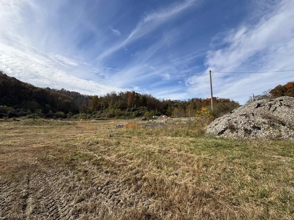 Picture 6