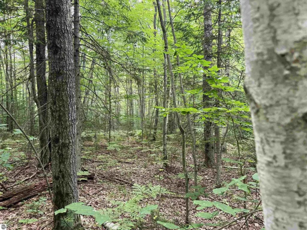 Picture 22