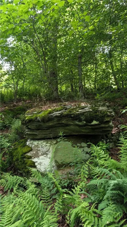 Picture 25