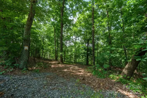 Creek Front Lot in Moravian Falls