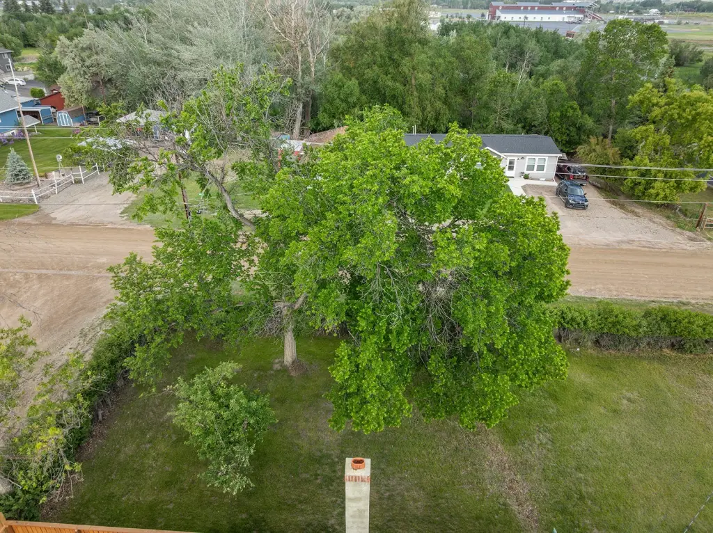 Picture 3